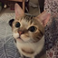 Lucas's avatar